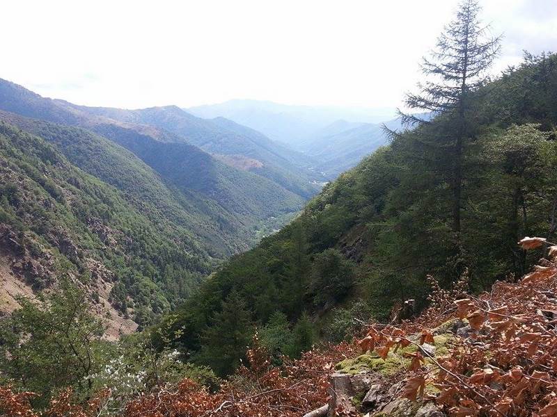 Elevage de chèvres dans les Cévennes